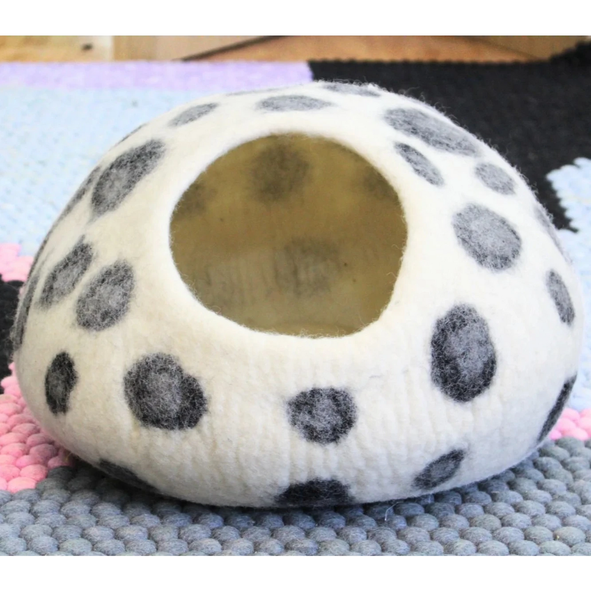 Catpod dalmatiër