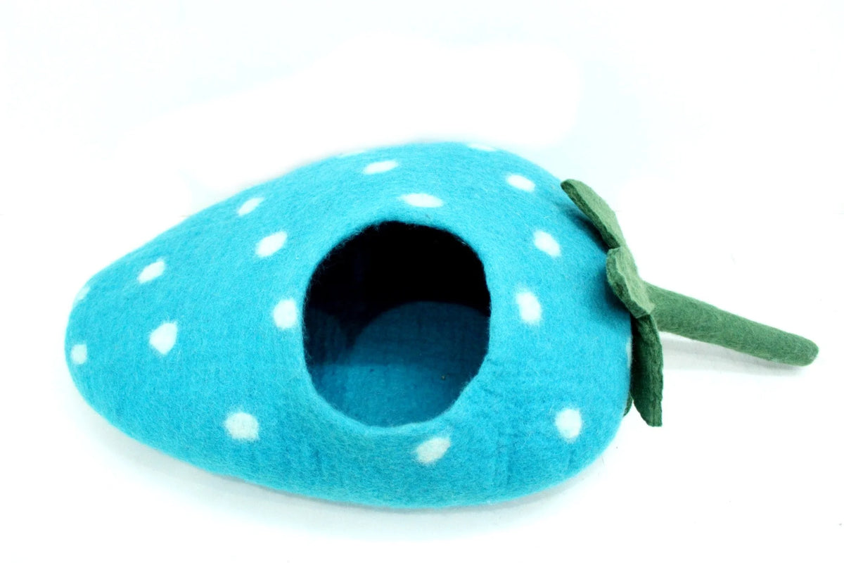 Catpod blueberry