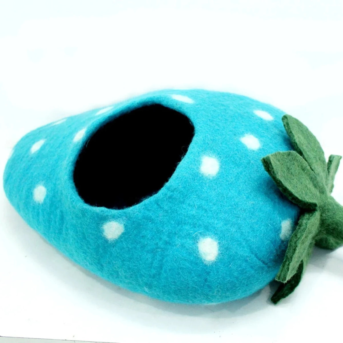 Catpod blueberry