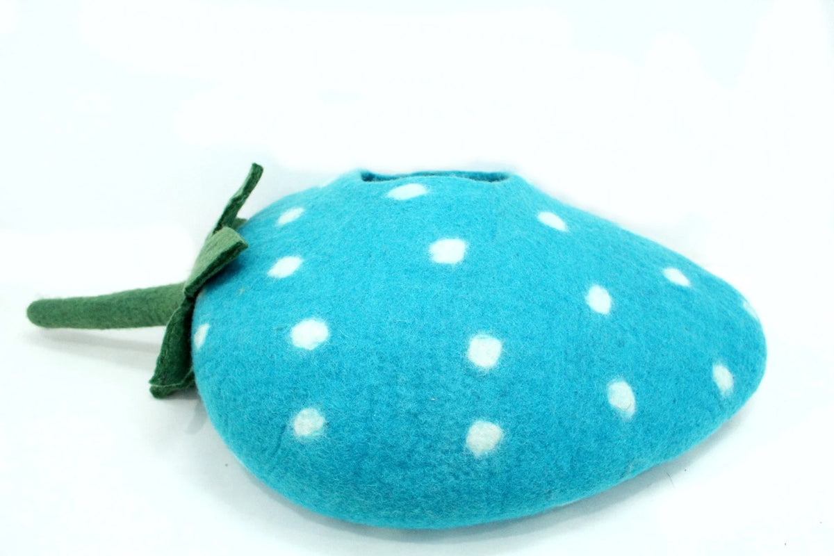 Catpod blueberry