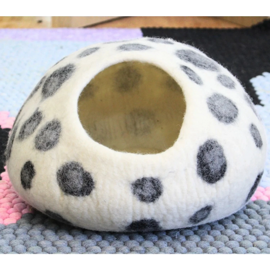 Catpod dalmatiër