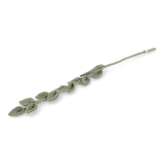 Eucalyptus tak