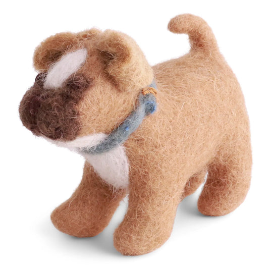 Franse bulldog