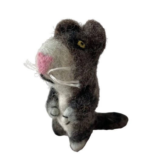 Vingerpop rat