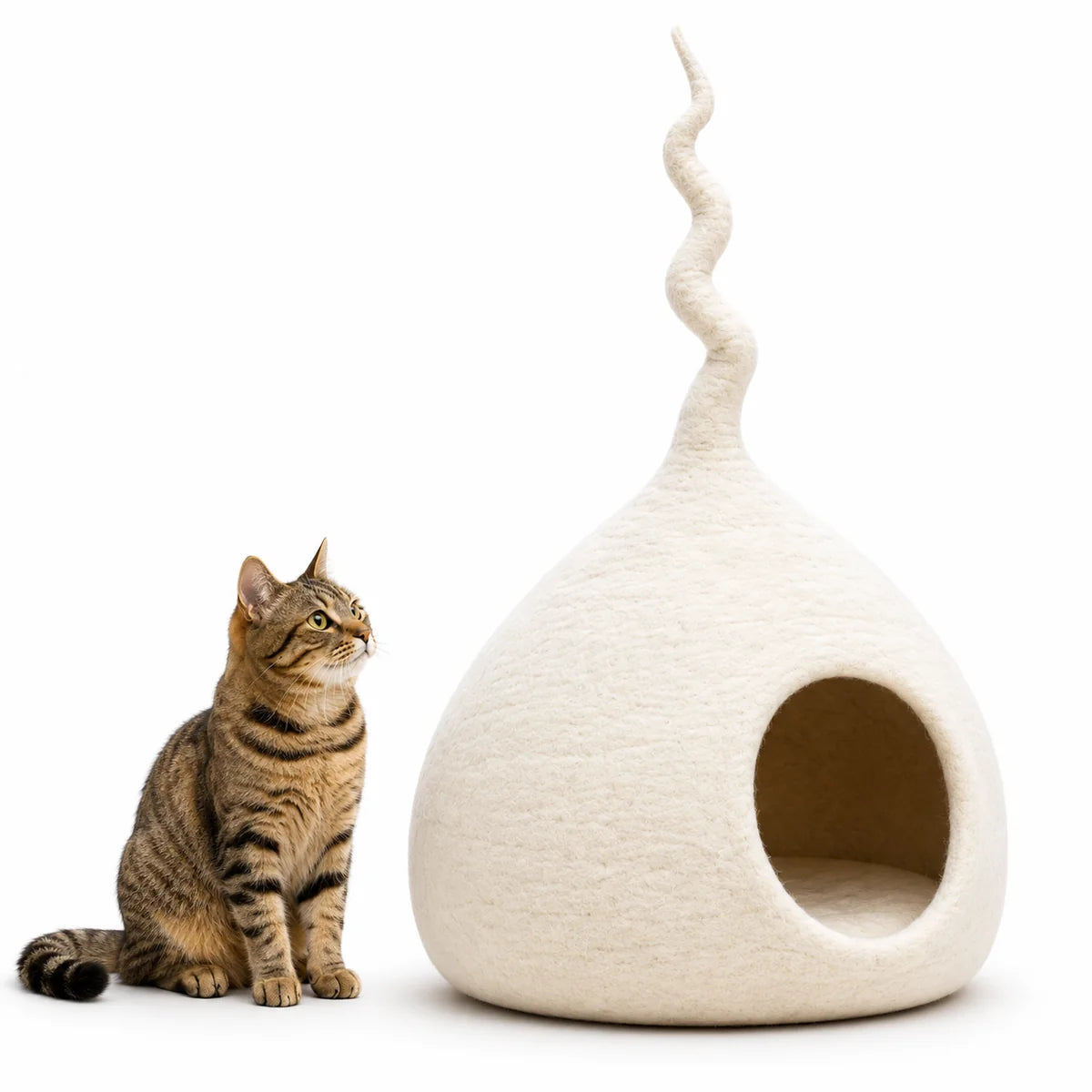 Catpod ivory lantern