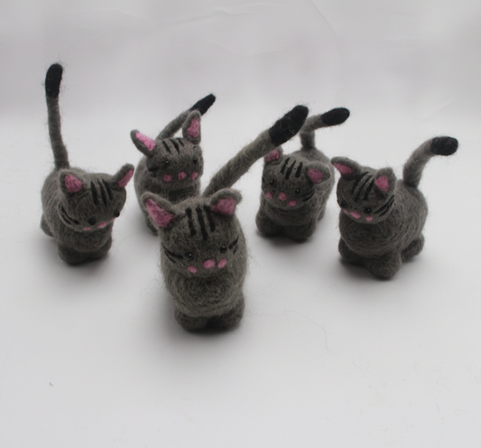Kat grijs