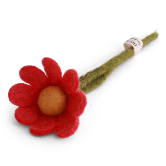 Anemoon rood klein
